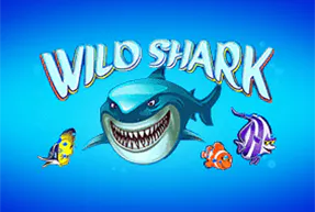 Wild Shark